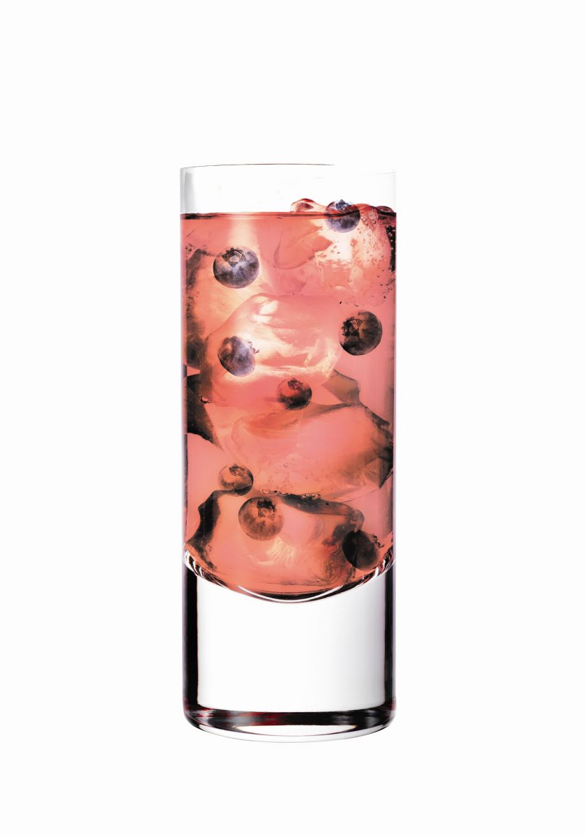 Blueberry Watermelon Cocktail